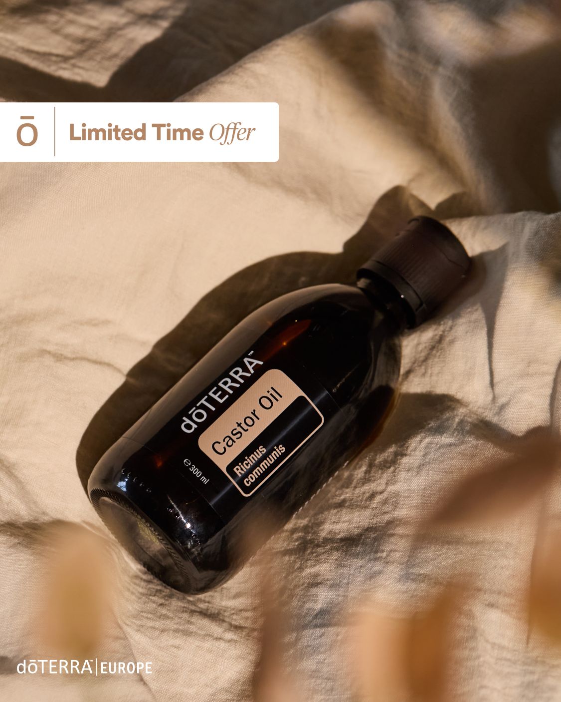 Promotiile lunii &raquo; Uleiuri Esentiale doTERRA