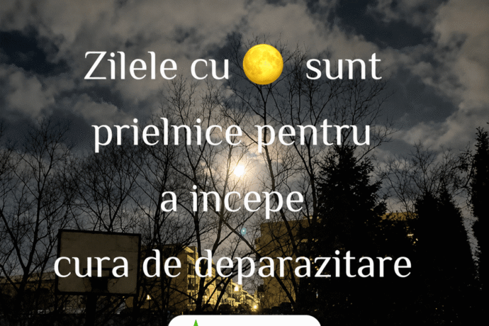 uleiuri esențiale pentru curățarea organismului