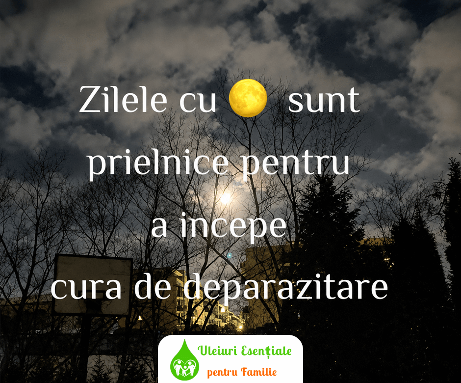 uleiuri esențiale pentru curățarea organismului