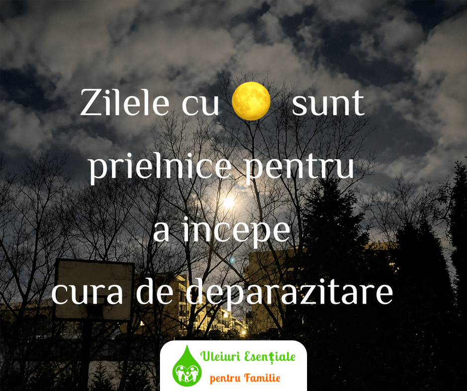 uleiuri esențiale pentru curățarea organismului uleiuri esențiale pentru curățarea organismului